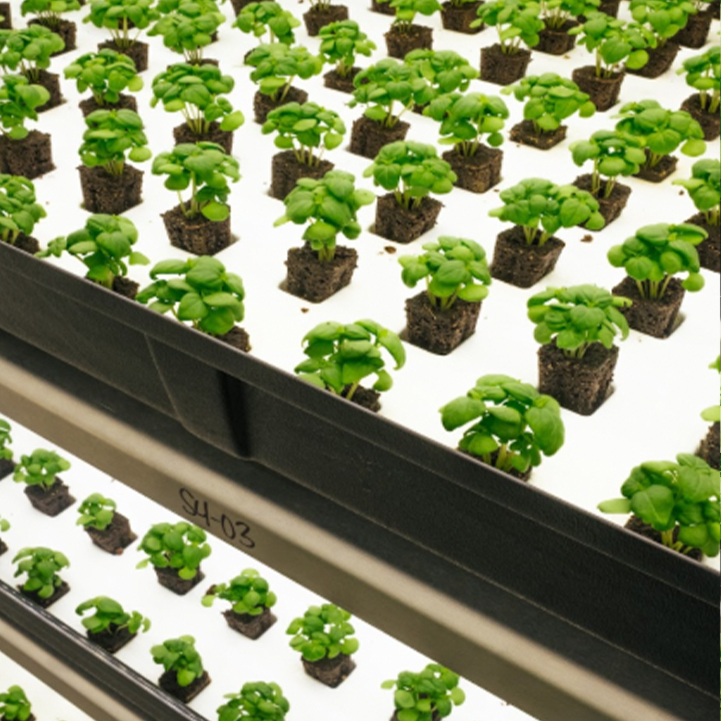 小売・飲食・流通